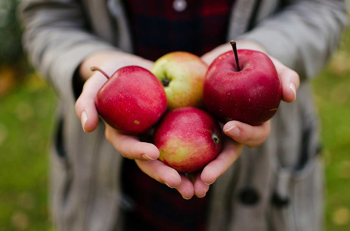 Apple-Cider-Vinegar-Gummies